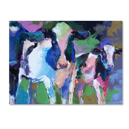 Richard Wallich 'Art 3 Cows' Canvas Art,35x47